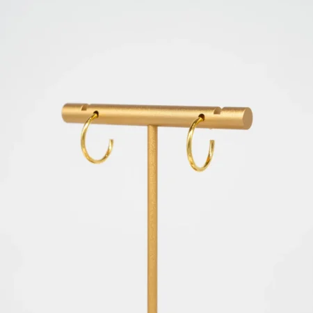 Small Hooped earrings gold