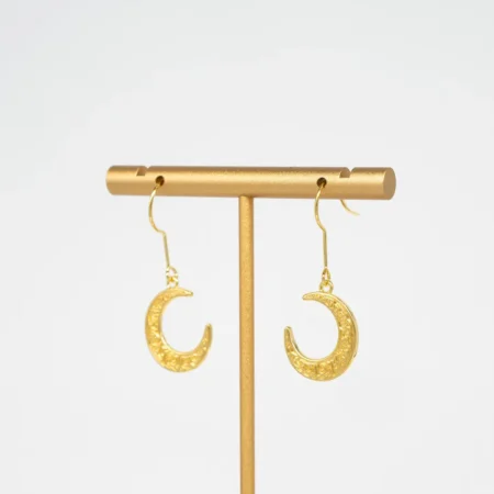 Crescent Moon Hanging Earrings